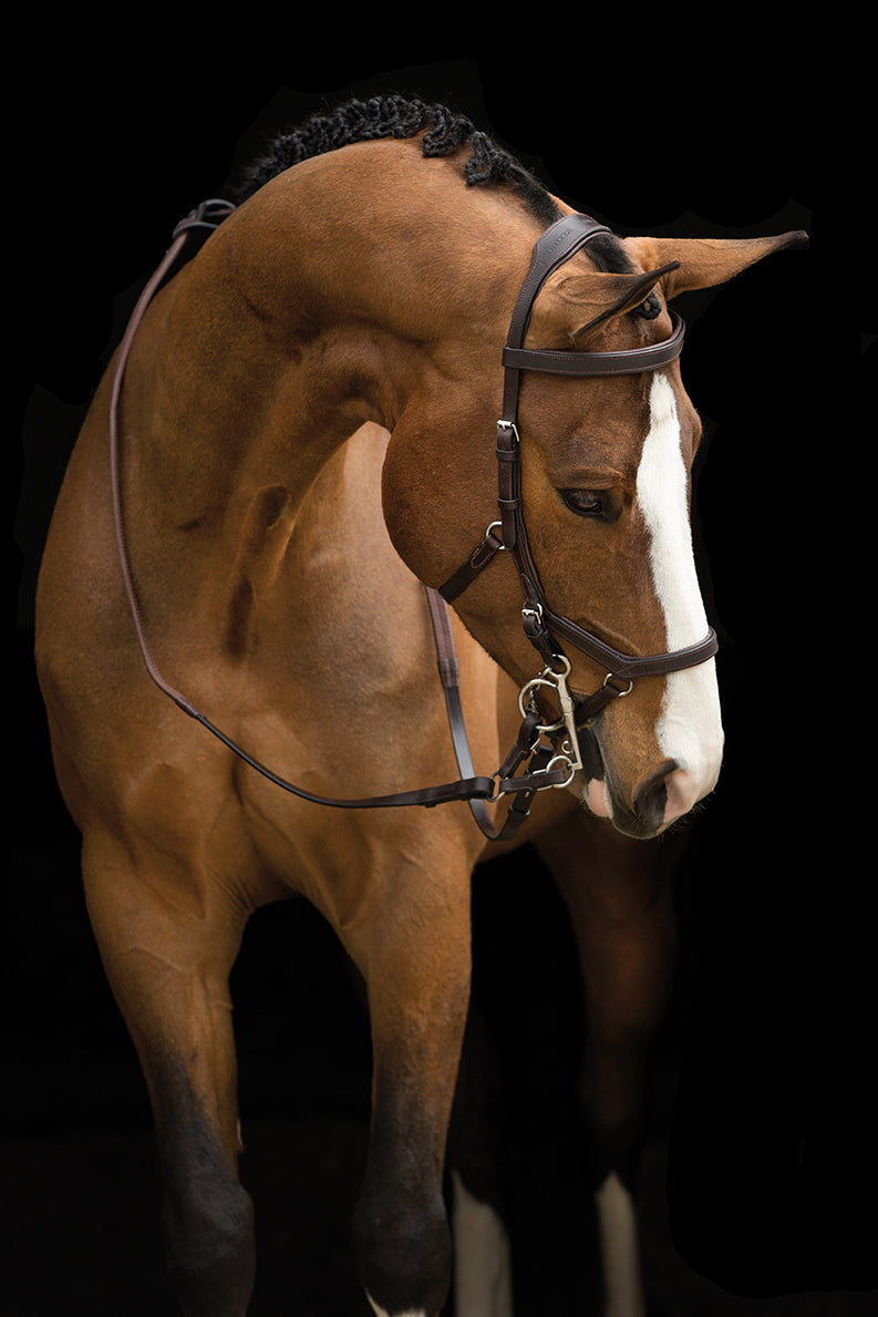 DEMO TRENSE - Rambo Micklem Competition Bridle - OUTLET