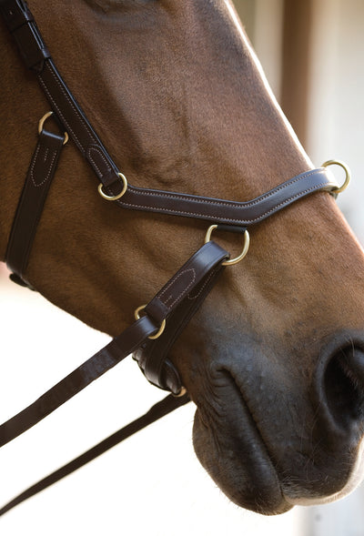 Rambo Micklem Multibridle - OUTLET