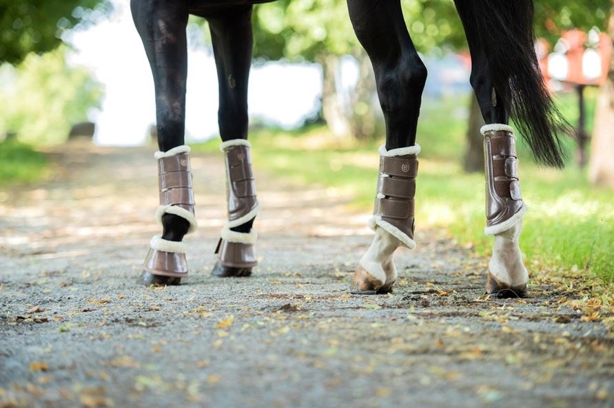 Equestrian Stockholm Champagne Brushing Boots
