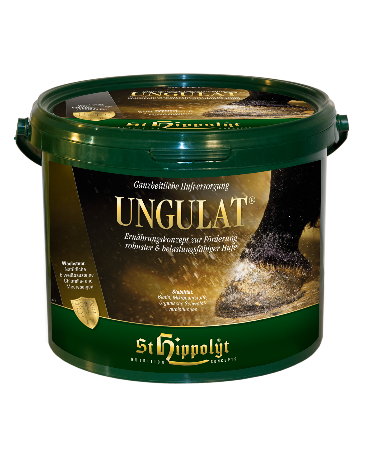St. Hippolyt Ungulat