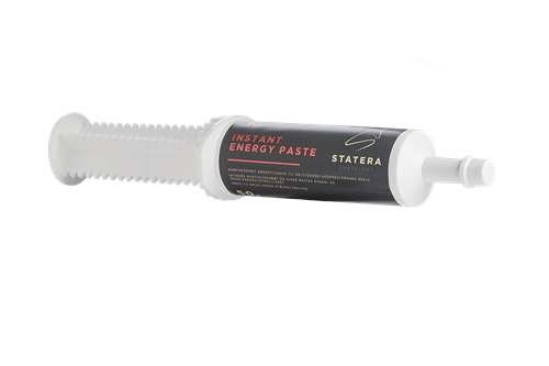 Statera Horsecare Instant Energy Paste