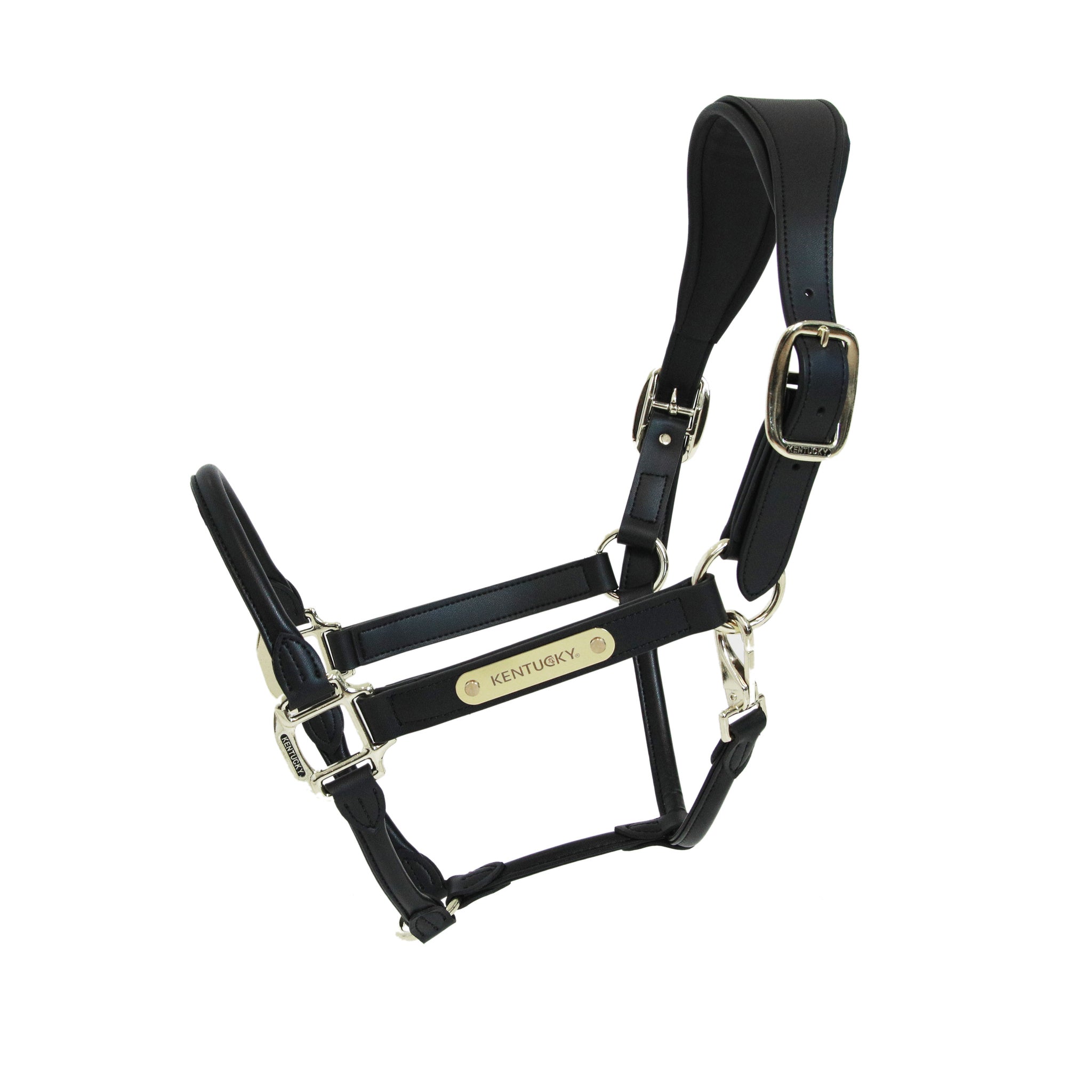 Kentucky  Anatomic Leather Grime