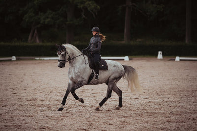 Equestrian Stockholm Dark Sky Dressurunderlag