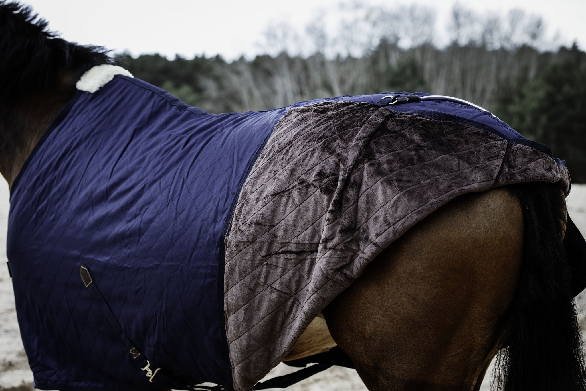 Kentucky  Stable Rug 0g.