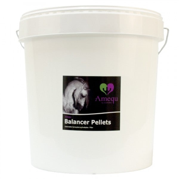 Dangro Nordic Amequ Balancer Pellets 8 kg.