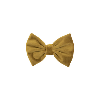 Bow Tie Velvet