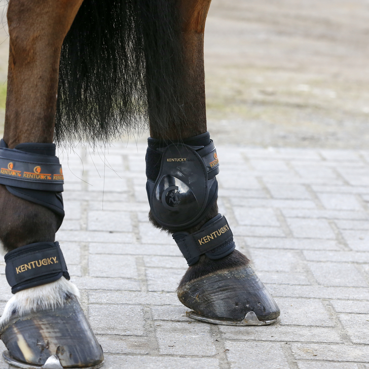 Kentucky  Pastern Wrap Kodegamacher