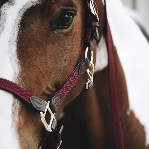 Kentucky  Plaited Nylon Grime