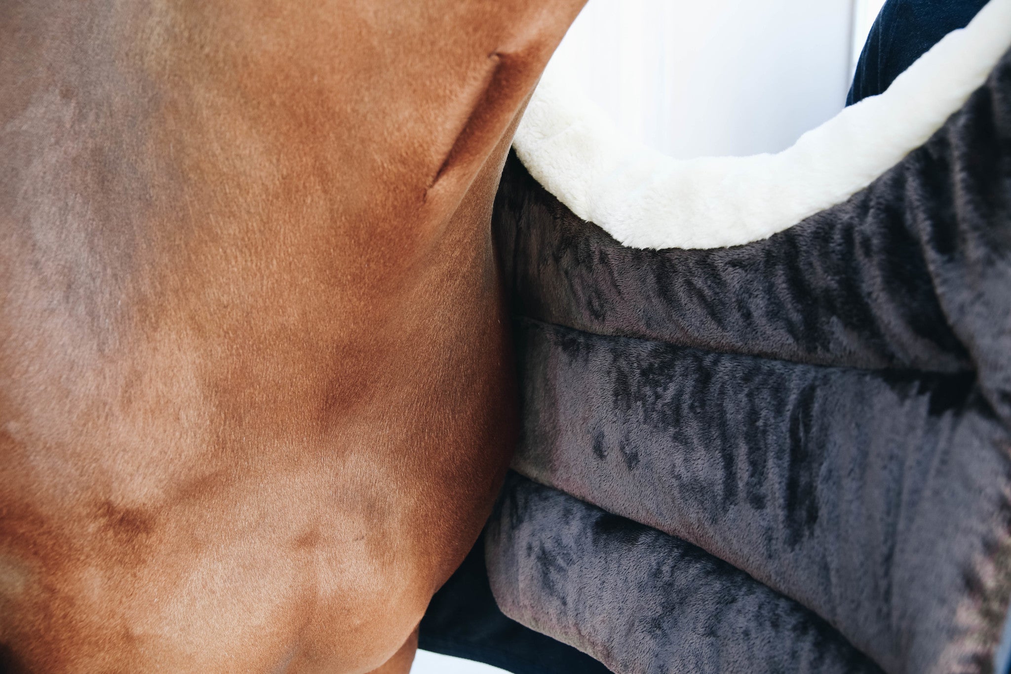 Kentucky  Horse BIB Winter