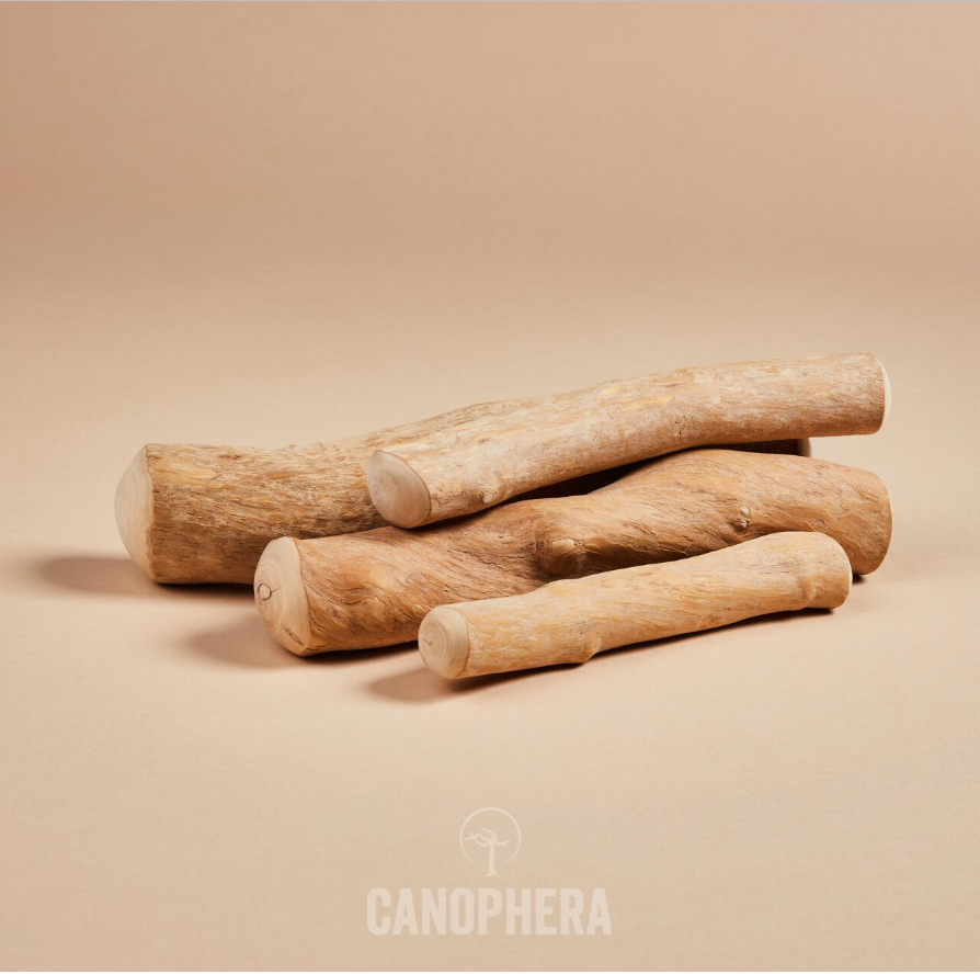 Canophera Kaffetræ Stick