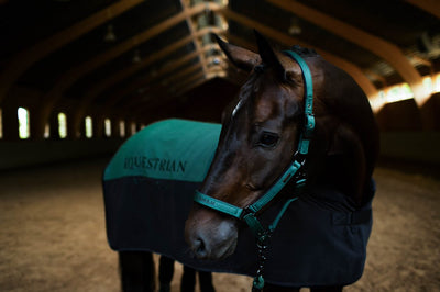 Equestrian Stockholm Sycamore Green Grime + Træktov