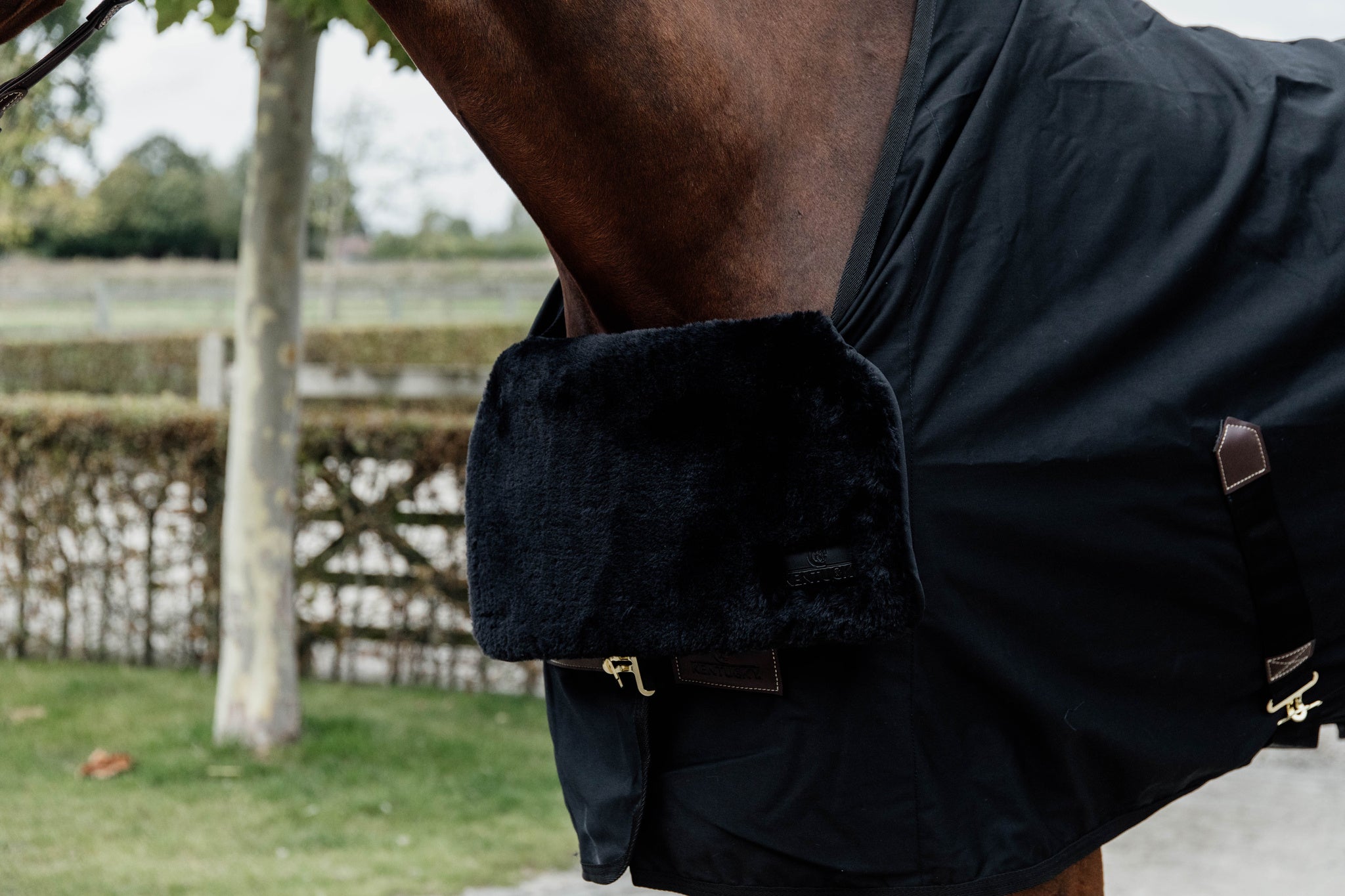 Kentucky  Horse BIB Chest Protection Sheepskin Black