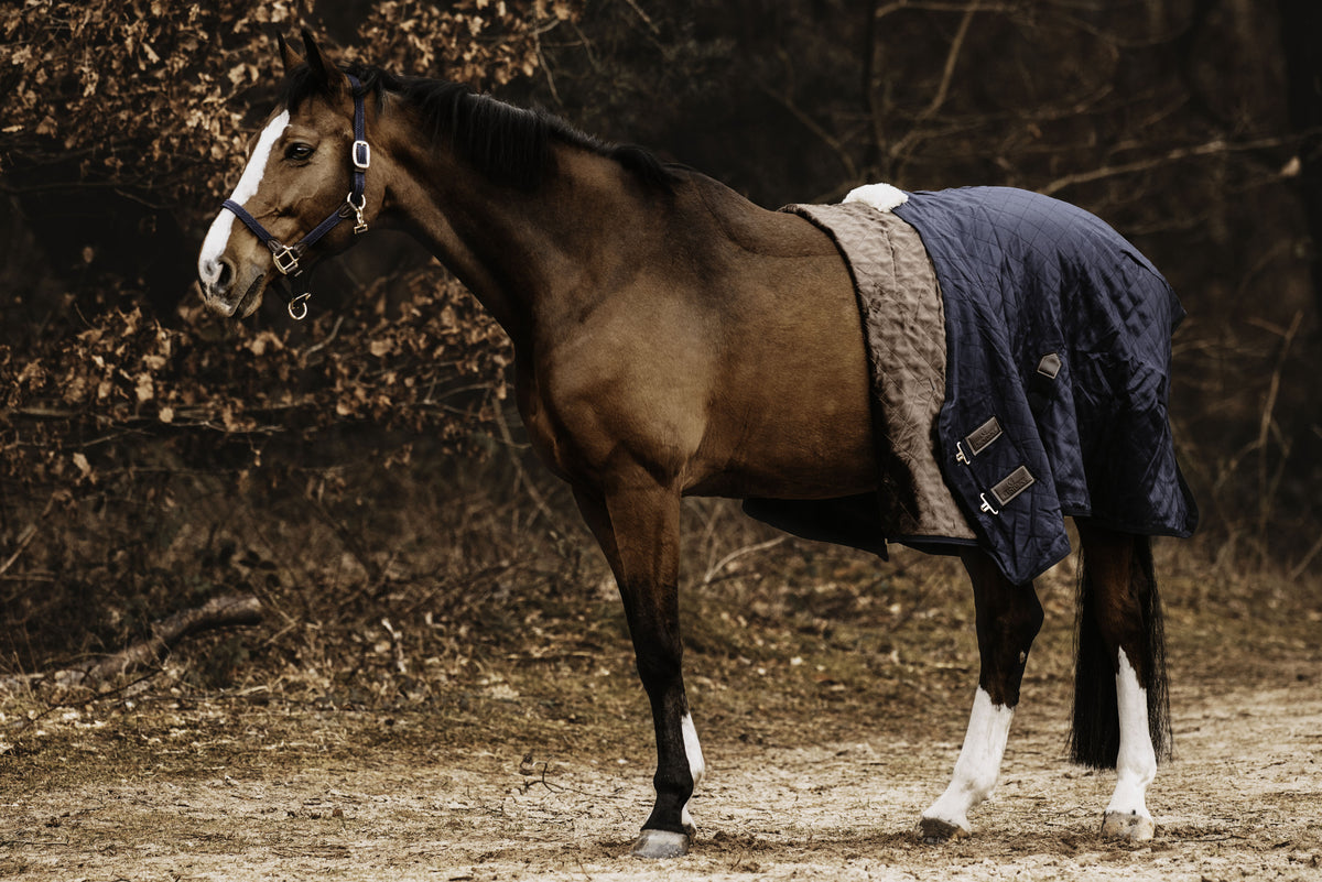 Kentucky  Stable Rug 0g.