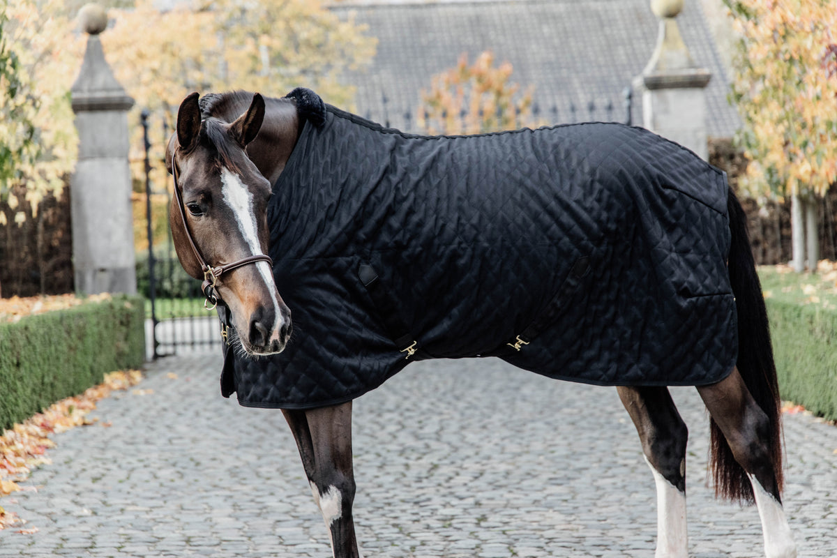 Kentucky  Stable Rug 0g.