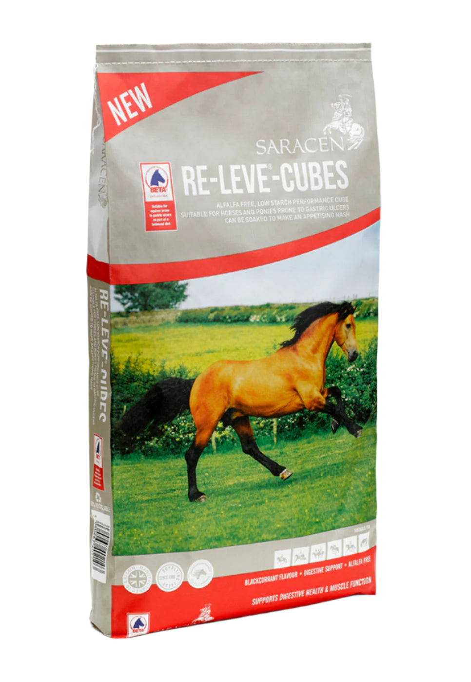 Saracen RE-LEVE Cubes