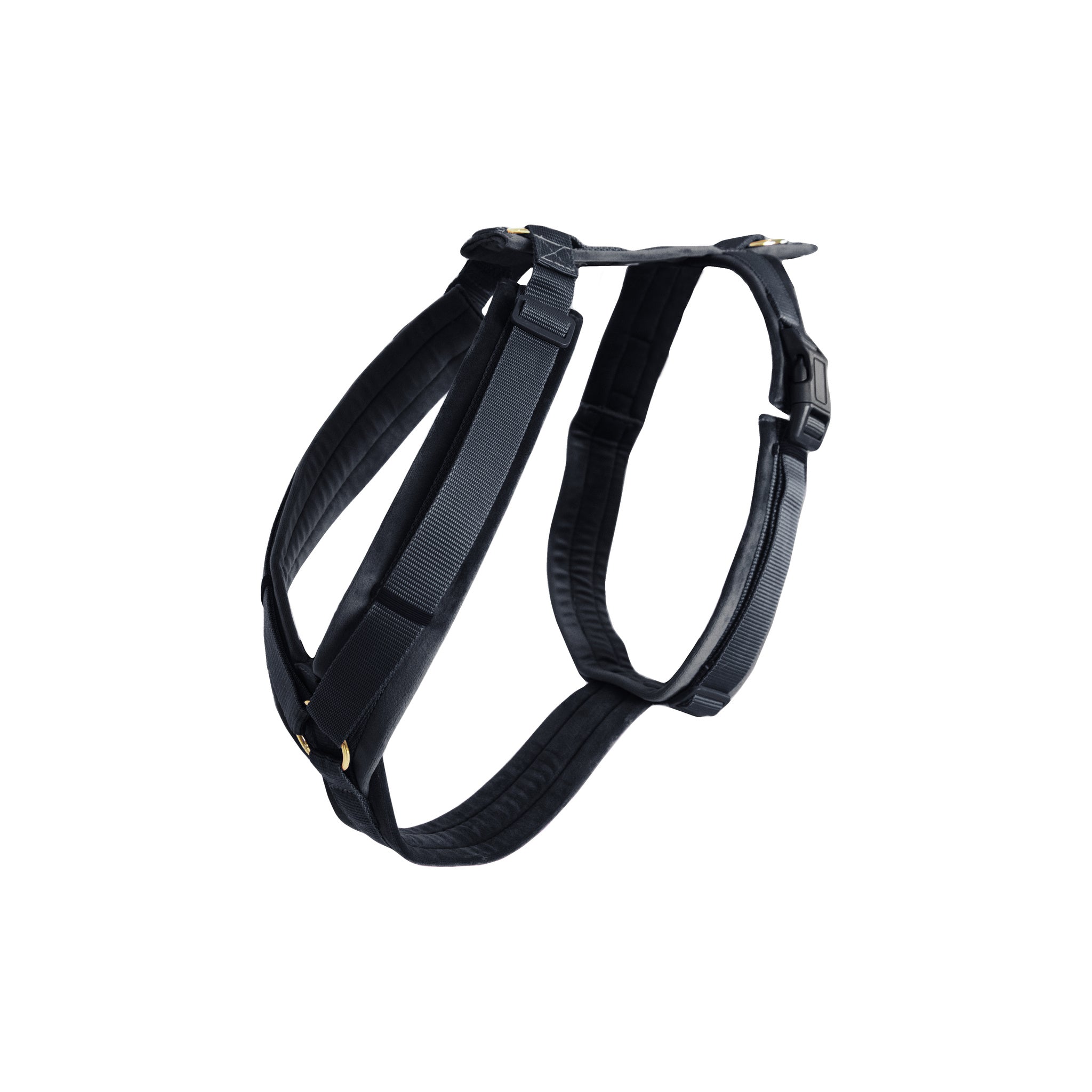 Kentucky Harness Active Velvet