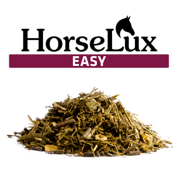 Horselux Easy