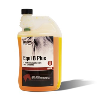 Equi B Plus