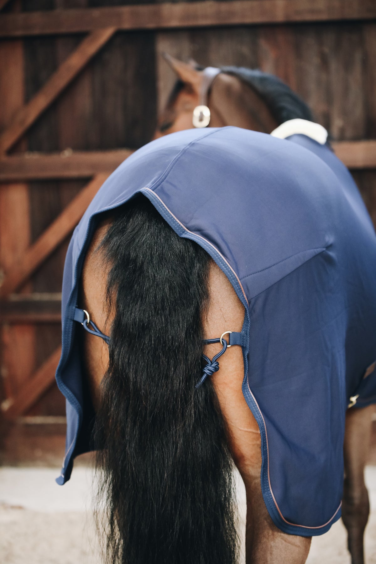 Kentucky  Cooler Fleece Rug