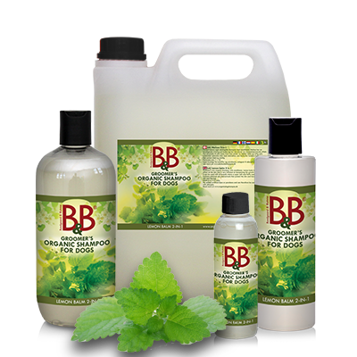 B&B 2-i-1 Lemon Shampoo