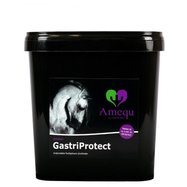Dangro Nordic Amequ Gastriprotect