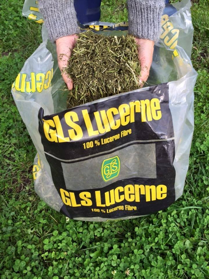 GLS Foder Lucerne