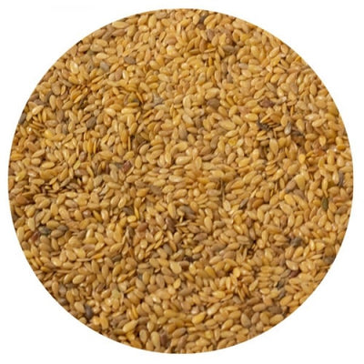 Amequ Gule Hørfrø