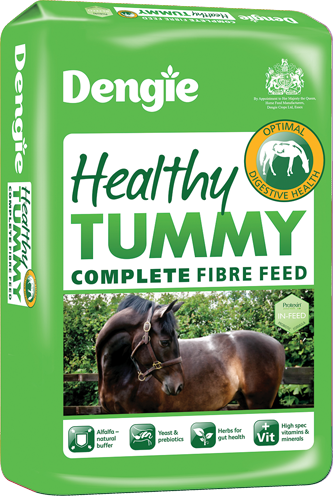 Dengie Healthy Tummy