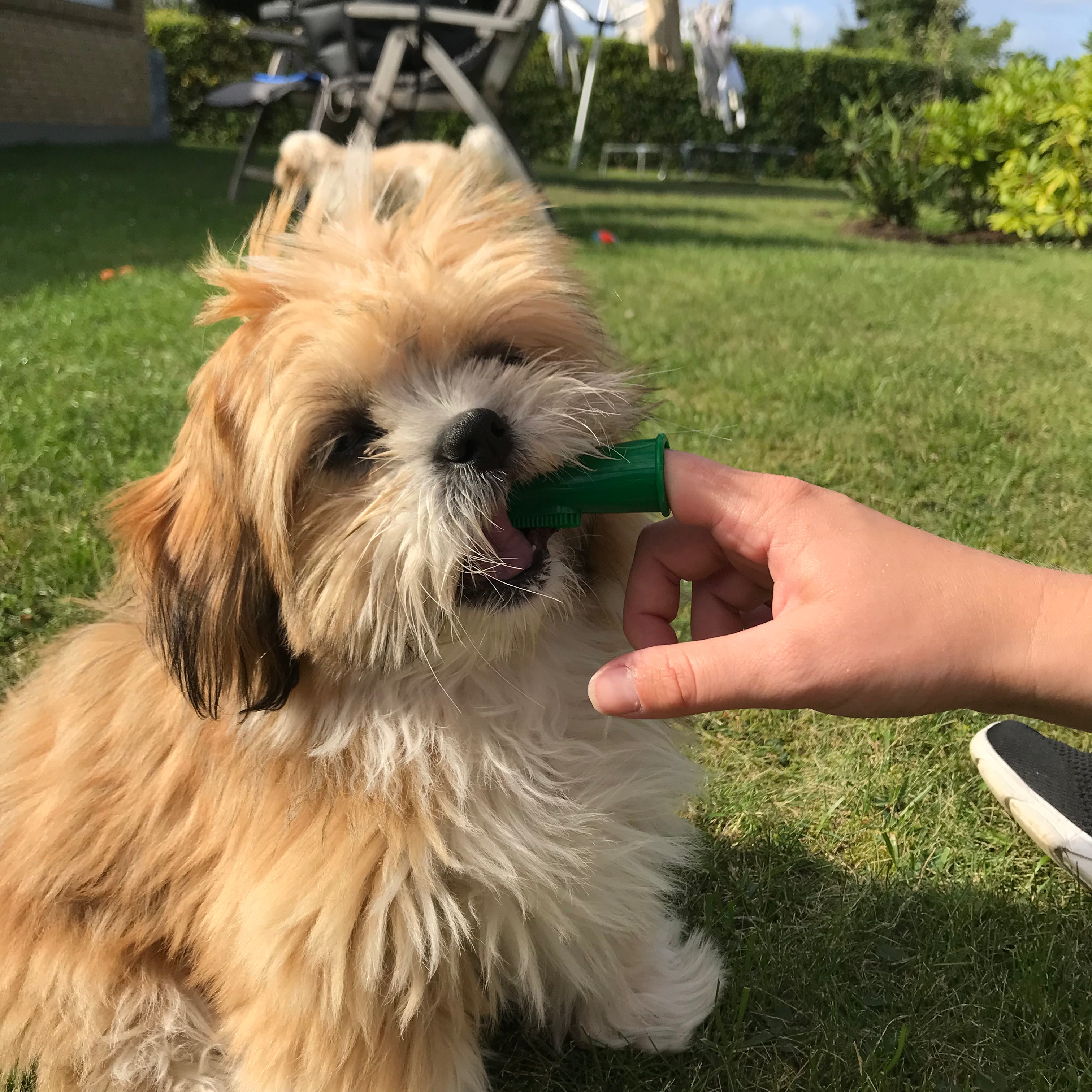 Vet's Best Silikone finger tandbørste