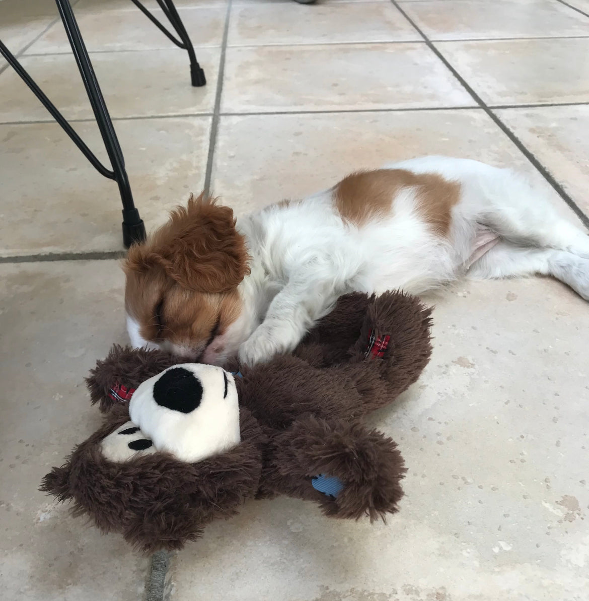 KONG Wild Knots Bamse
