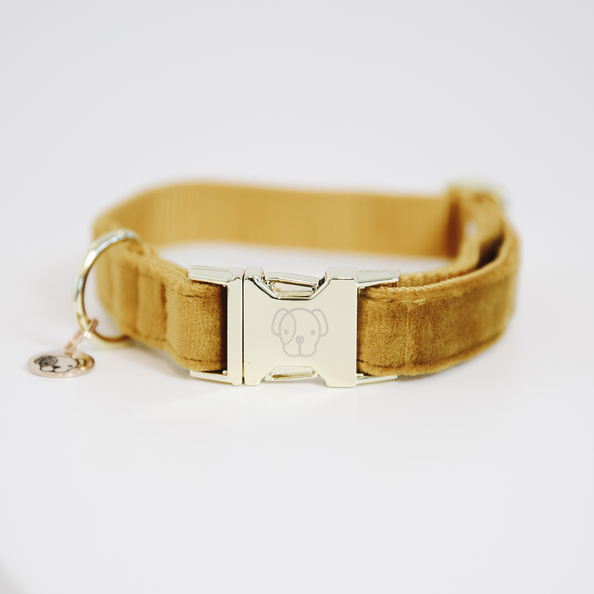 Dog Collar Velvet Halsbånd