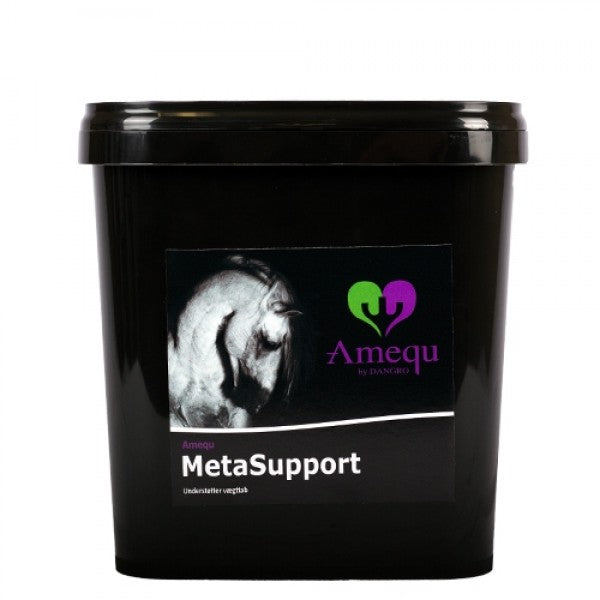 Metasupport