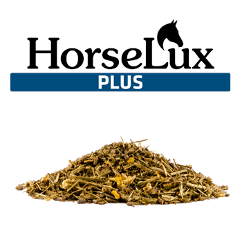 Horselux Plus - Bestillingsvare