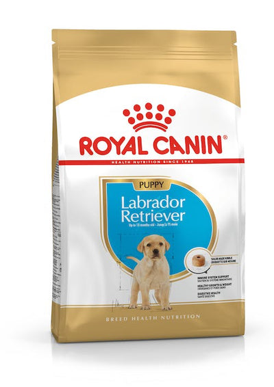 Royal Canin Labrador Retriever Puppy