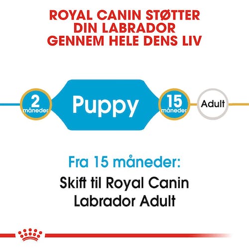 Royal Canin Labrador Retriever Puppy