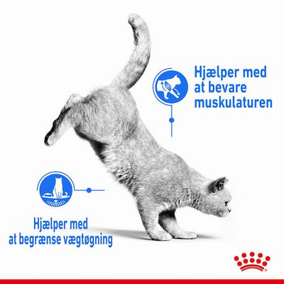 Royal Canin Light Weight Care 8 kg.