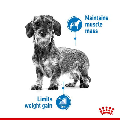 Royal Canin Mini Light Weight Care 3 kg.