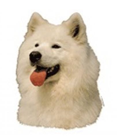 World Stickers Sweeden Klistermærke - Samoyed