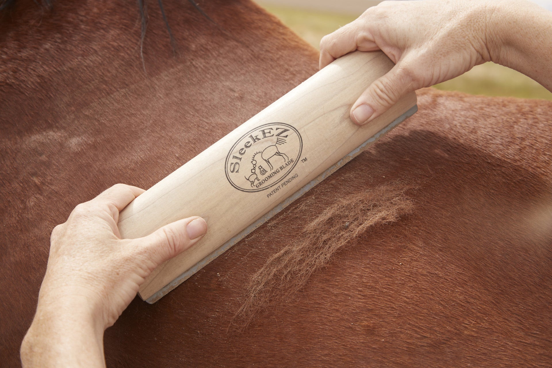 Broholm Sleekez Strigle Hest
