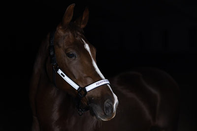 Equestrian Stockholm Luminous Black Grime + Træktov