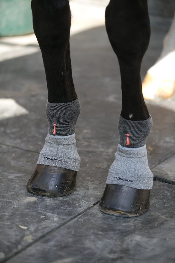 Circulation Hoof Sock Pair