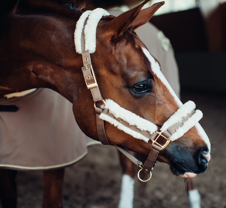 Equestrian Stockholm Champagne Grime + Træktov