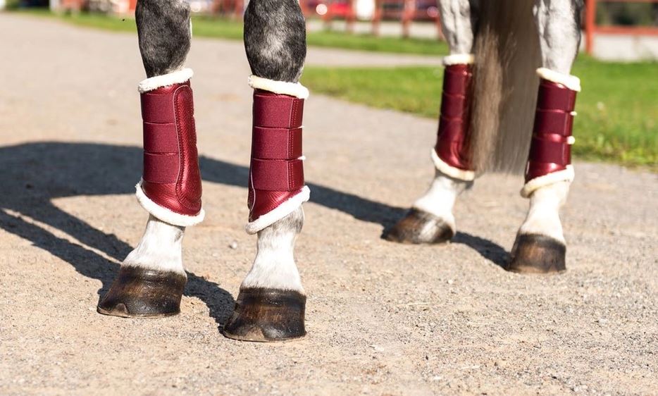 Equestrian Stockholm Bordeaux Brushing Boots