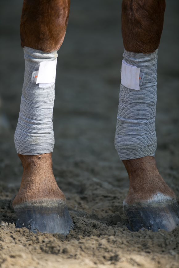 Circulation Bandages
