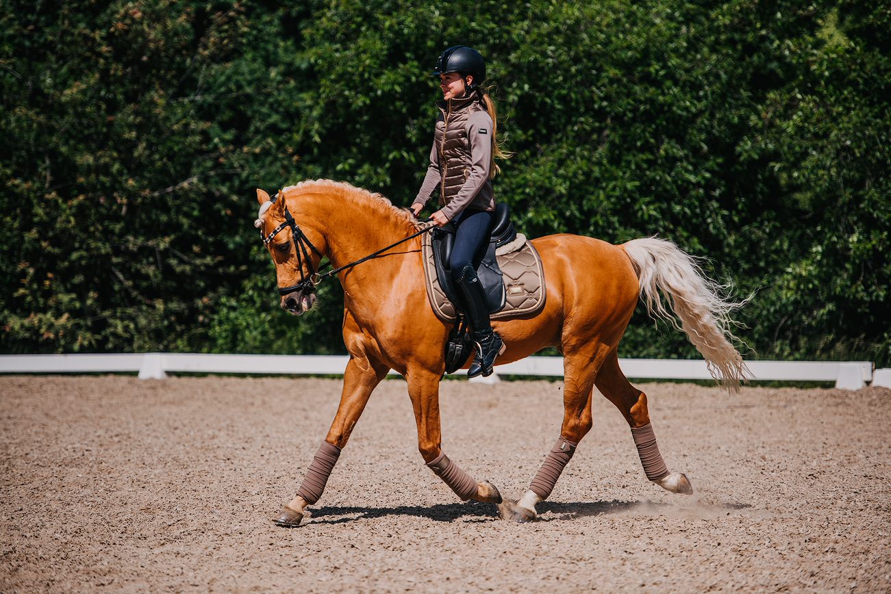 Equestrian Stockholm Champagne Dressurunderlag