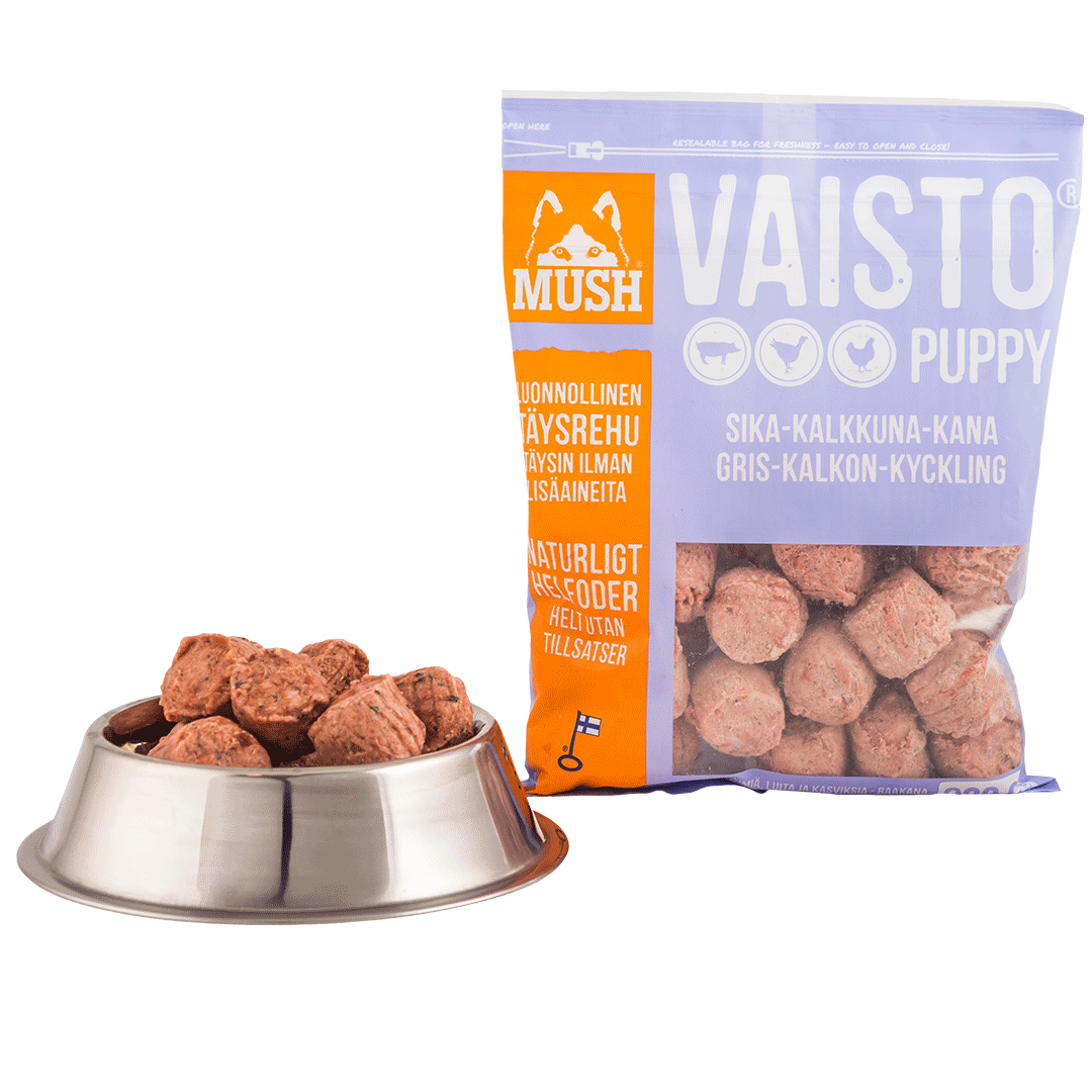 MUSH Vaisto® Puppy BARF Fuldfoder Gris Kalkun Kylling Lyselilla